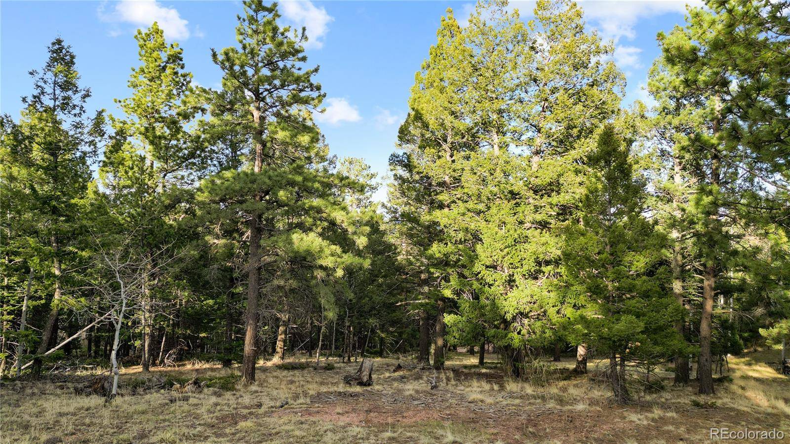 68 Yale PL, Woodland Park, CO 80863