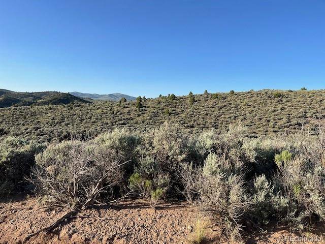 Lot 4763 Spencer RD, Fort Garland, CO 81133