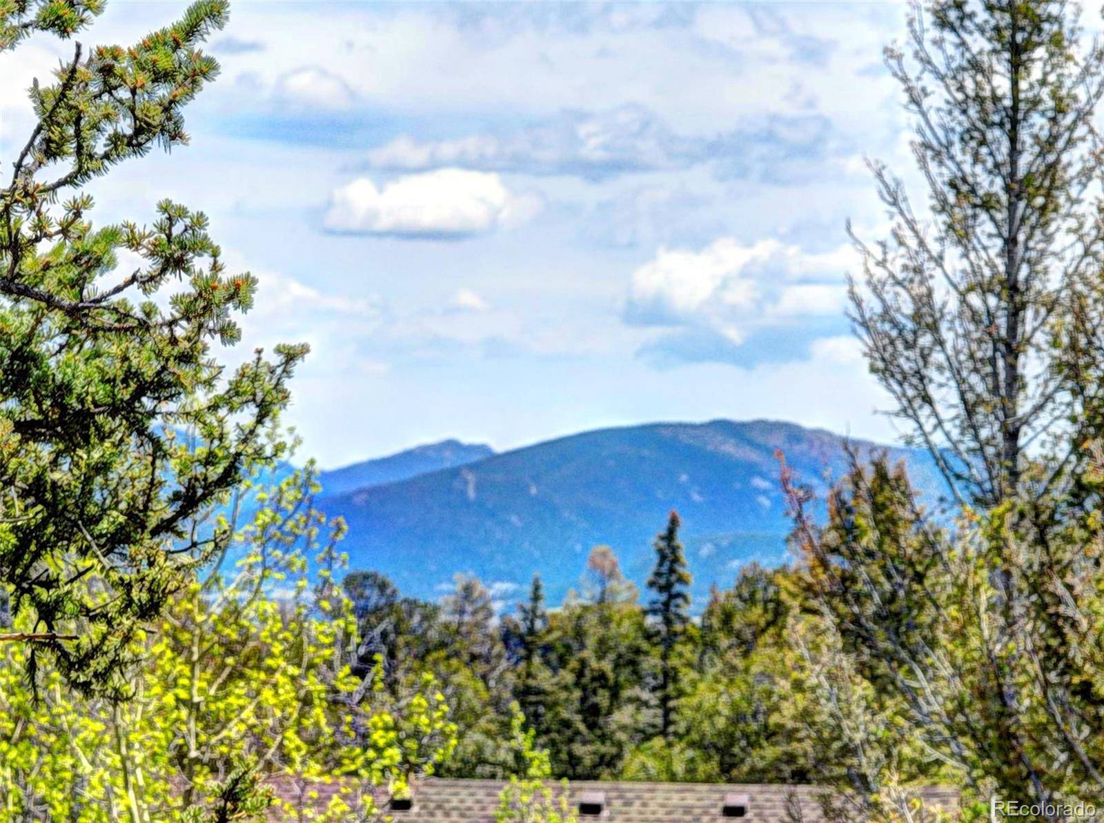 258 Old Squaw RD, Como, CO 80432