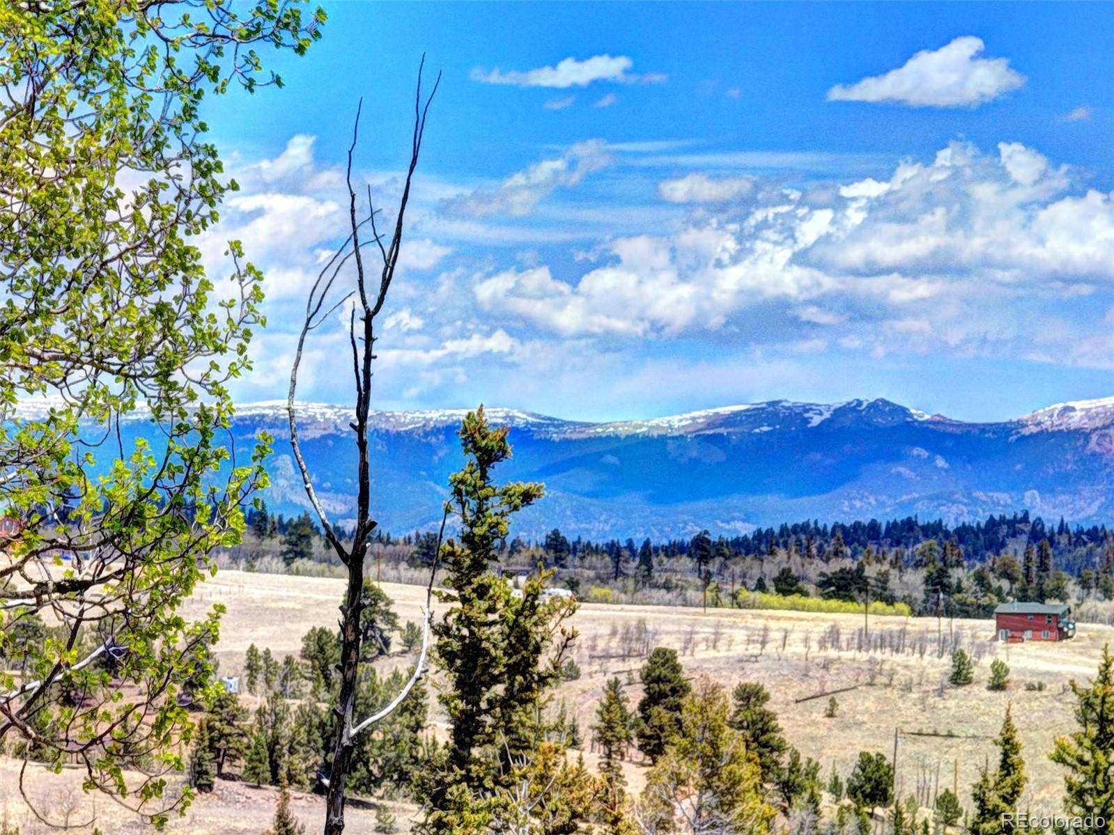 258 Old Squaw RD, Como, CO 80432