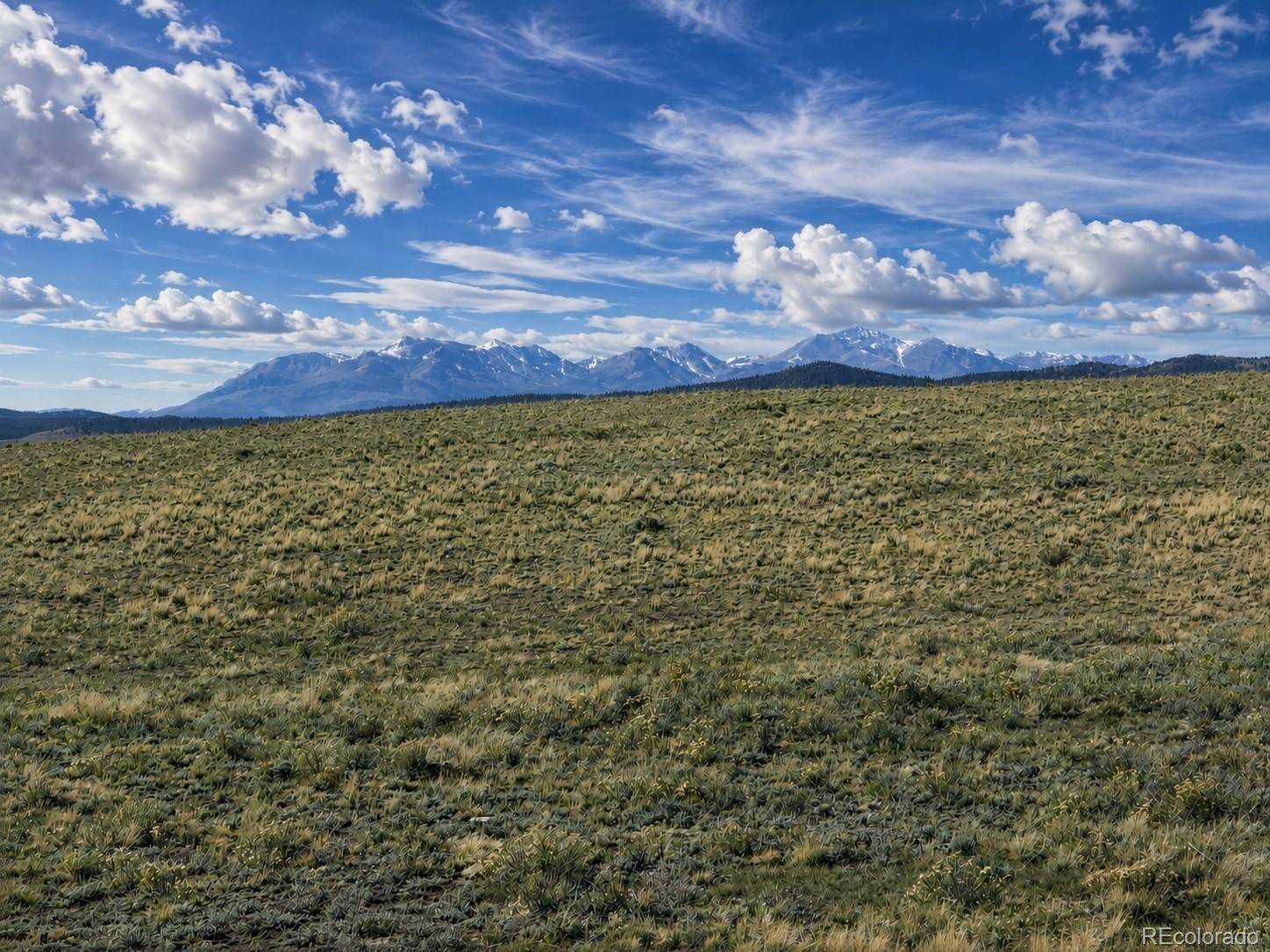 2972 Jumano TRL, Hartsel, CO 80449