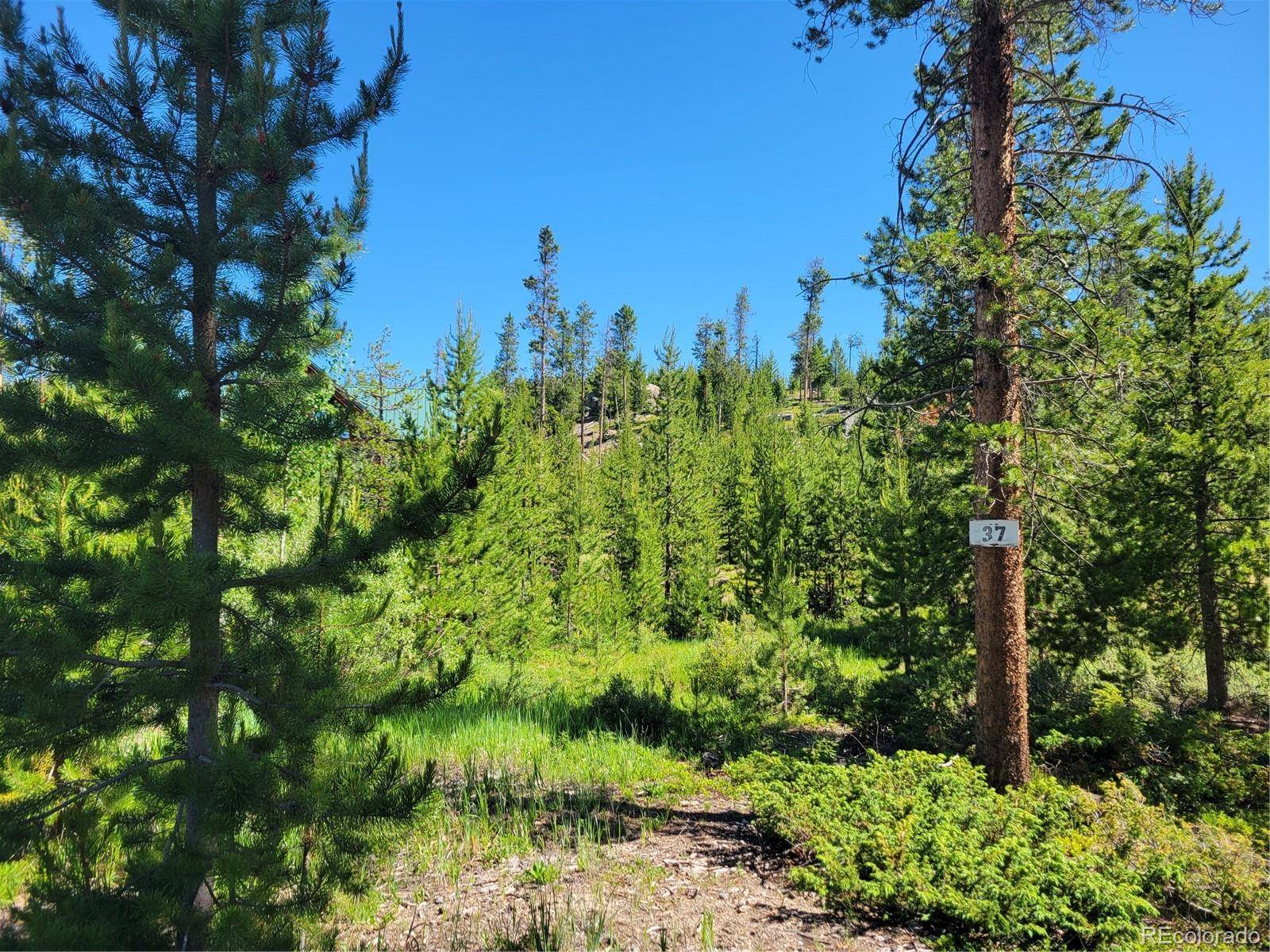 51 GCR 6621, Grand Lake, CO 80447