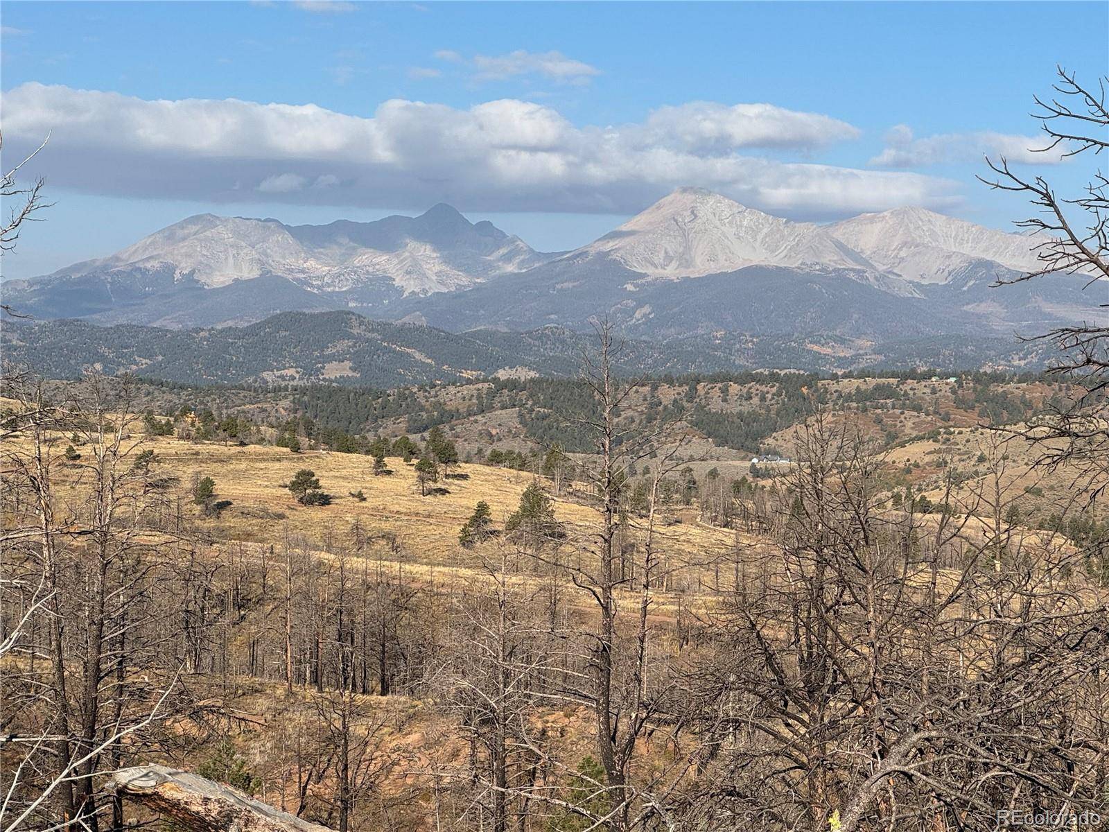 Forbes Park Rd, Fort Garland, CO 81133