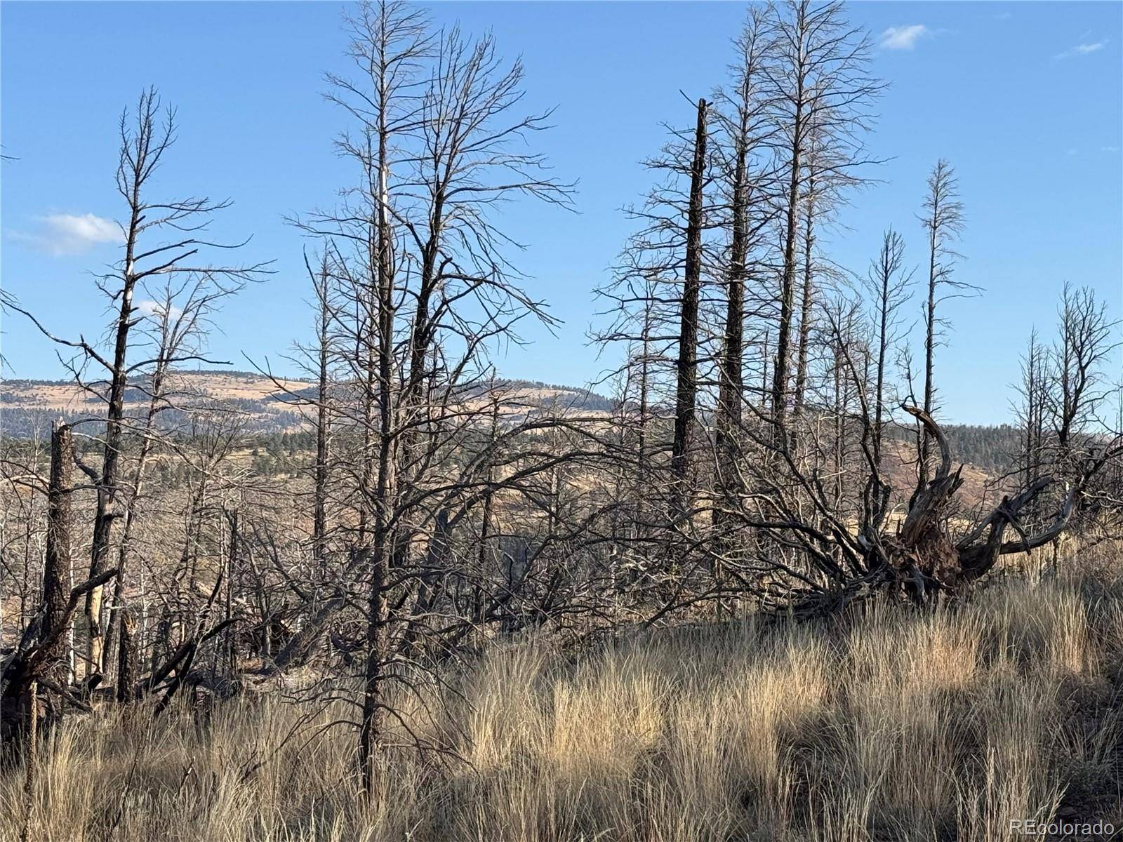 Forbes Park Rd, Fort Garland, CO 81133