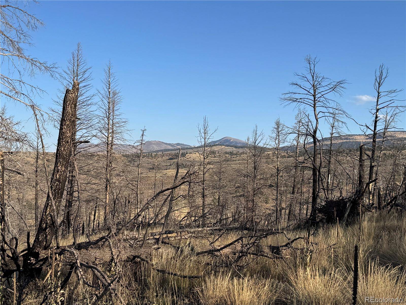 Forbes Park Rd, Fort Garland, CO 81133