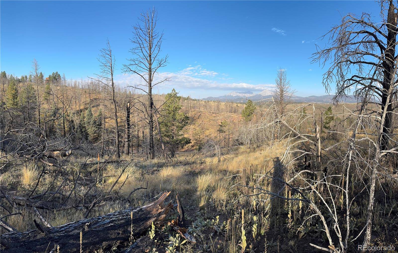 Forbes Park Rd, Fort Garland, CO 81133
