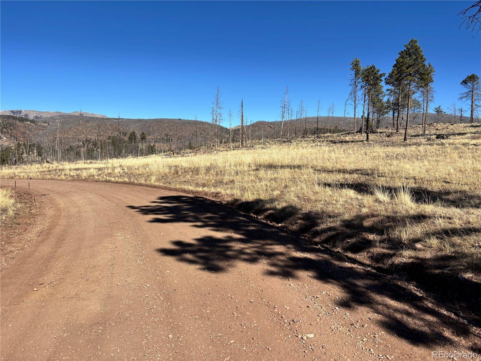 00 Hart Ln., Fort Garland, CO 81133