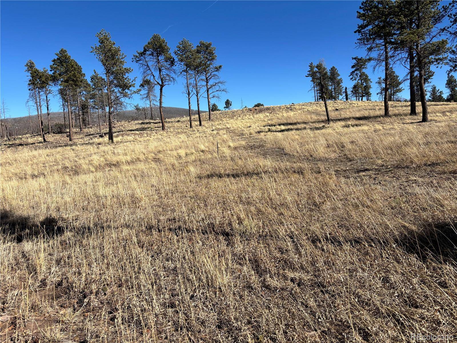 00 Hart Ln., Fort Garland, CO 81133