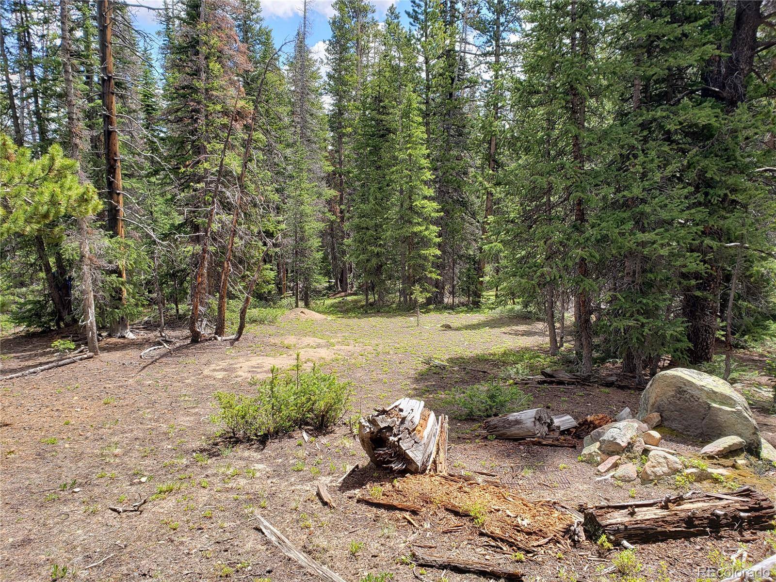 586 El Lobo LN, Fairplay, CO 80440