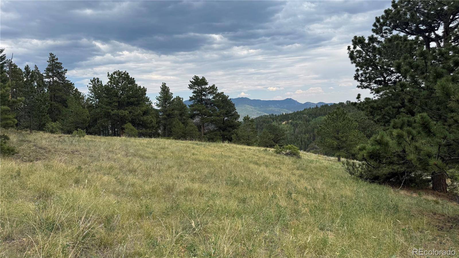 003 Church Placer RD, Central City, CO 80427