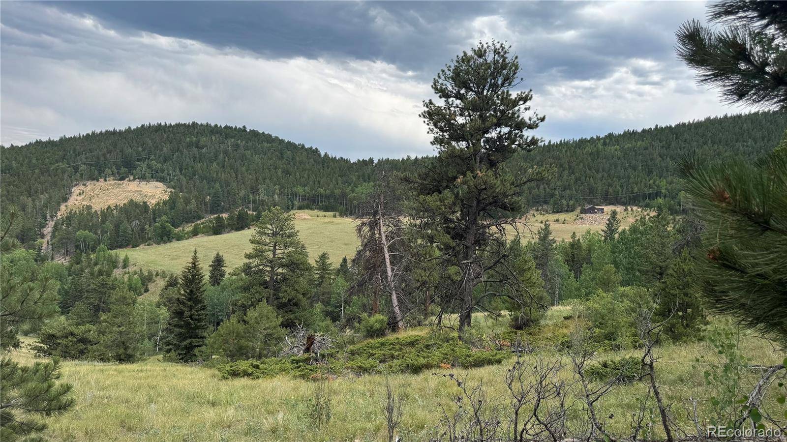 003 Church Placer RD, Central City, CO 80427