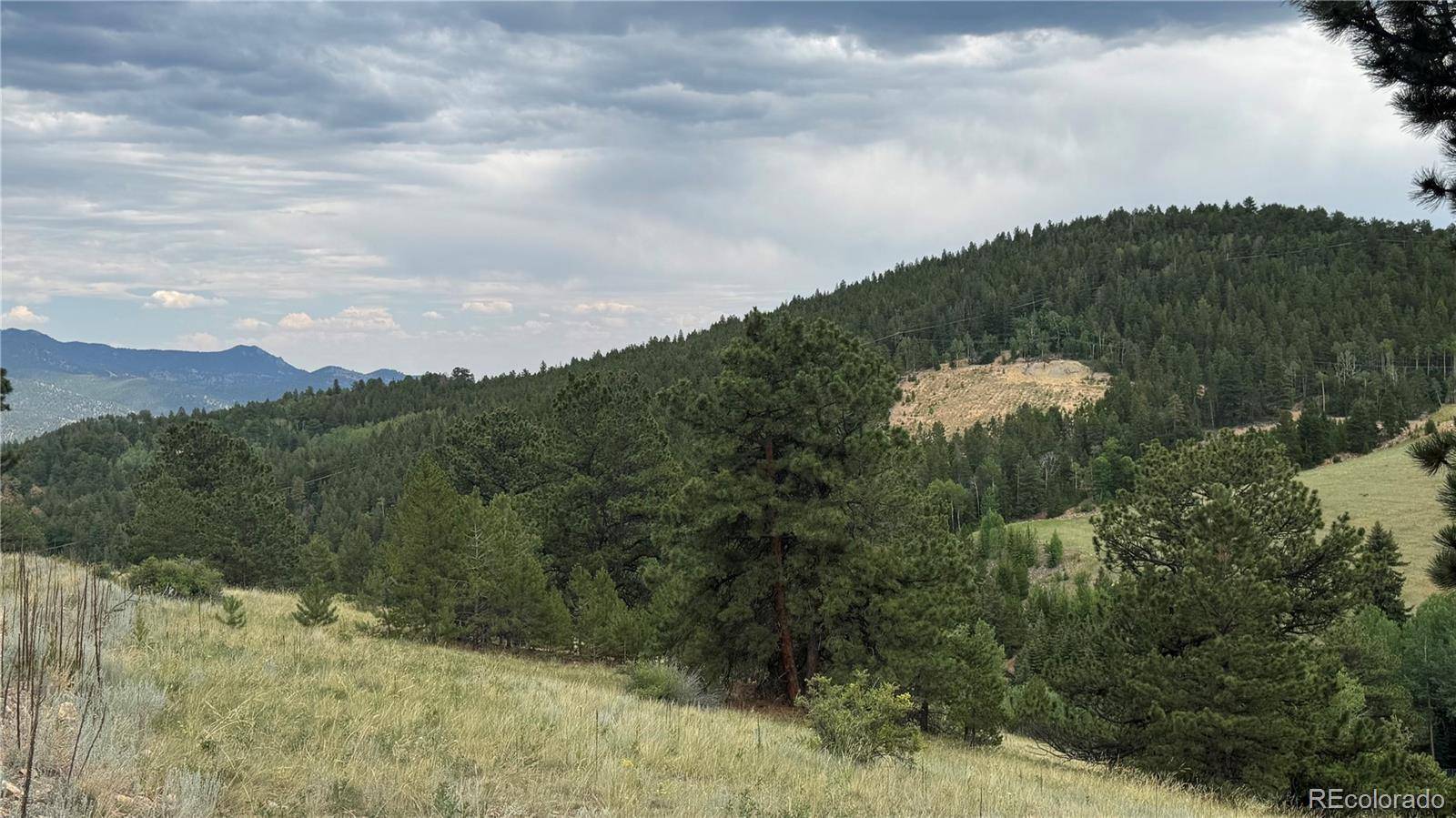003 Church Placer RD, Central City, CO 80427