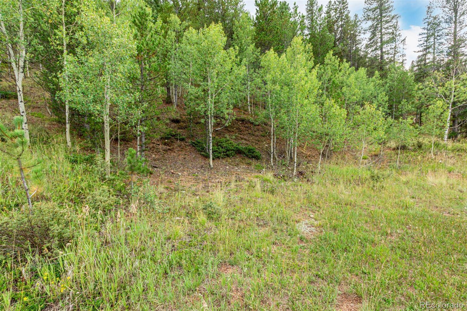 427 Wise RD, Bailey, CO 80421