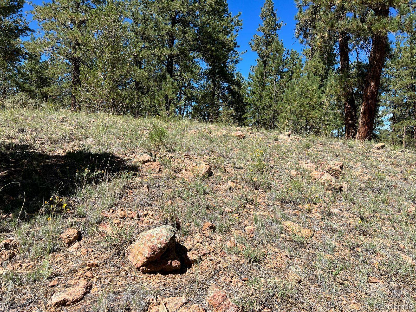82 Kiowa CIR, Westcliffe, CO 81252