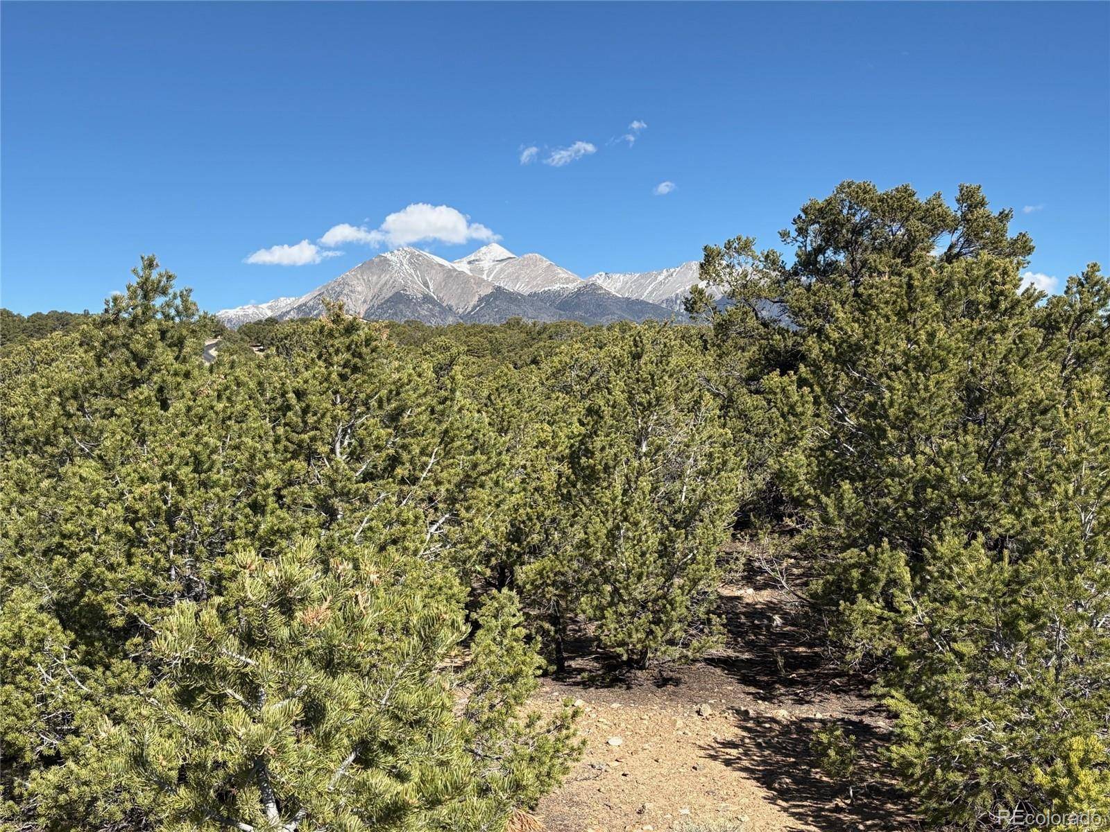 14315 Mica CT, Salida, CO 81201