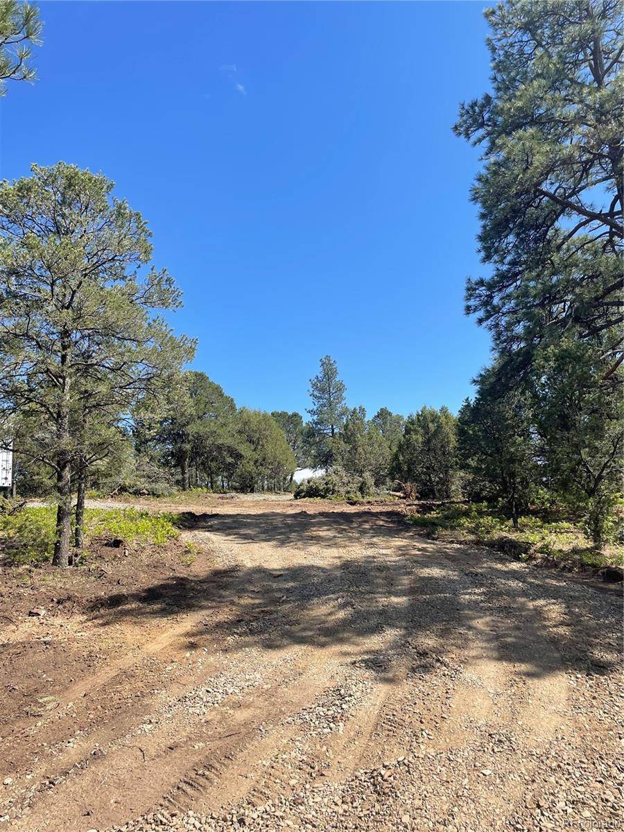 329 Fishers Peak Pkwy, Trinidad, CO 81082