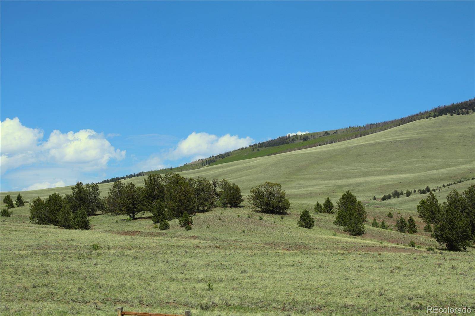 State HWY, Guffey, CO 80820