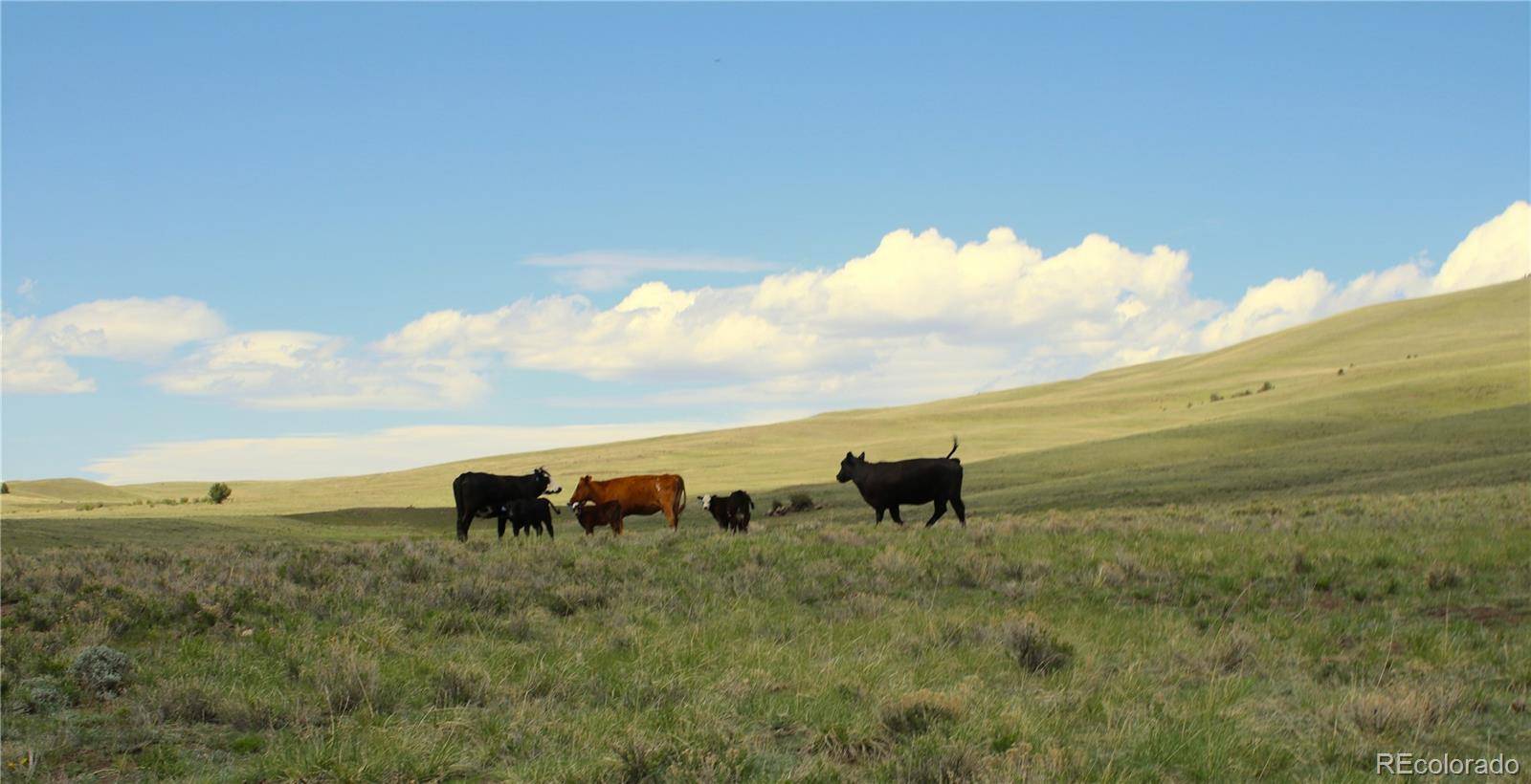 State HWY, Guffey, CO 80820