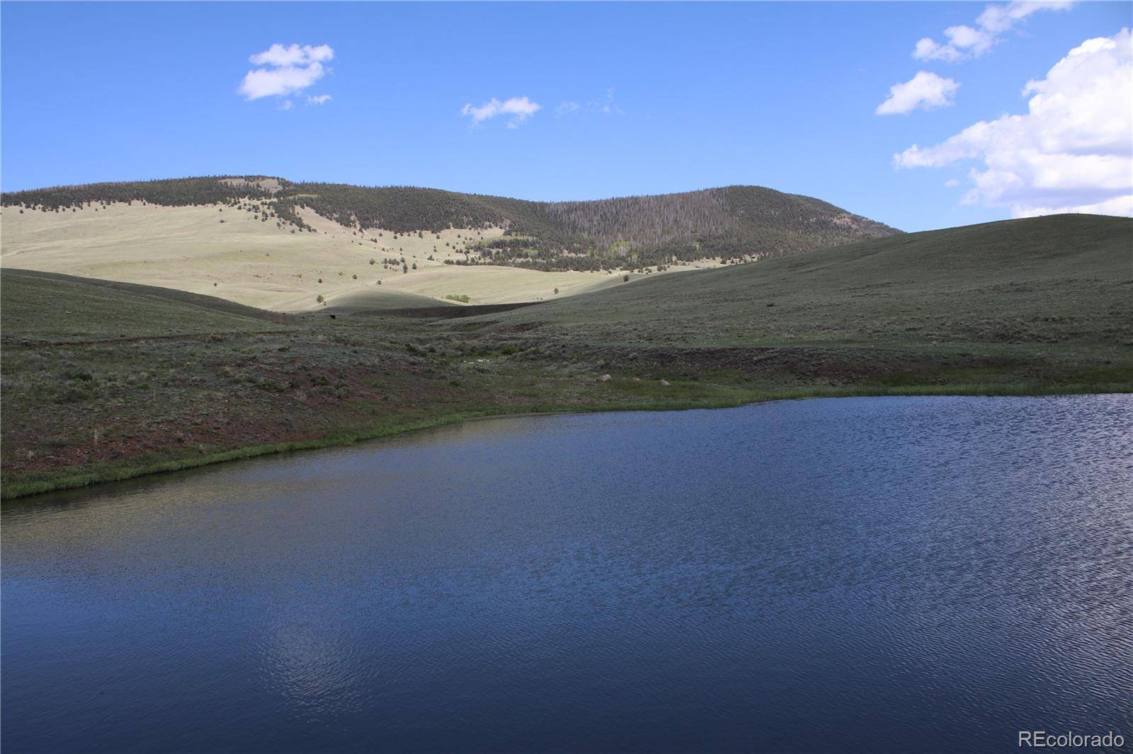 State HWY, Guffey, CO 80820