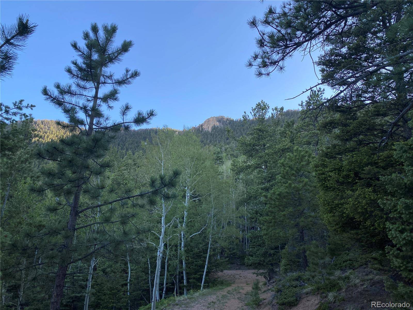 285 Forest RD, Manitou Springs, CO 80829