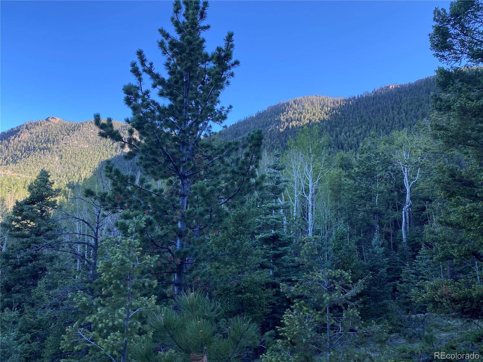 285 Forest RD, Manitou Springs, CO 80829