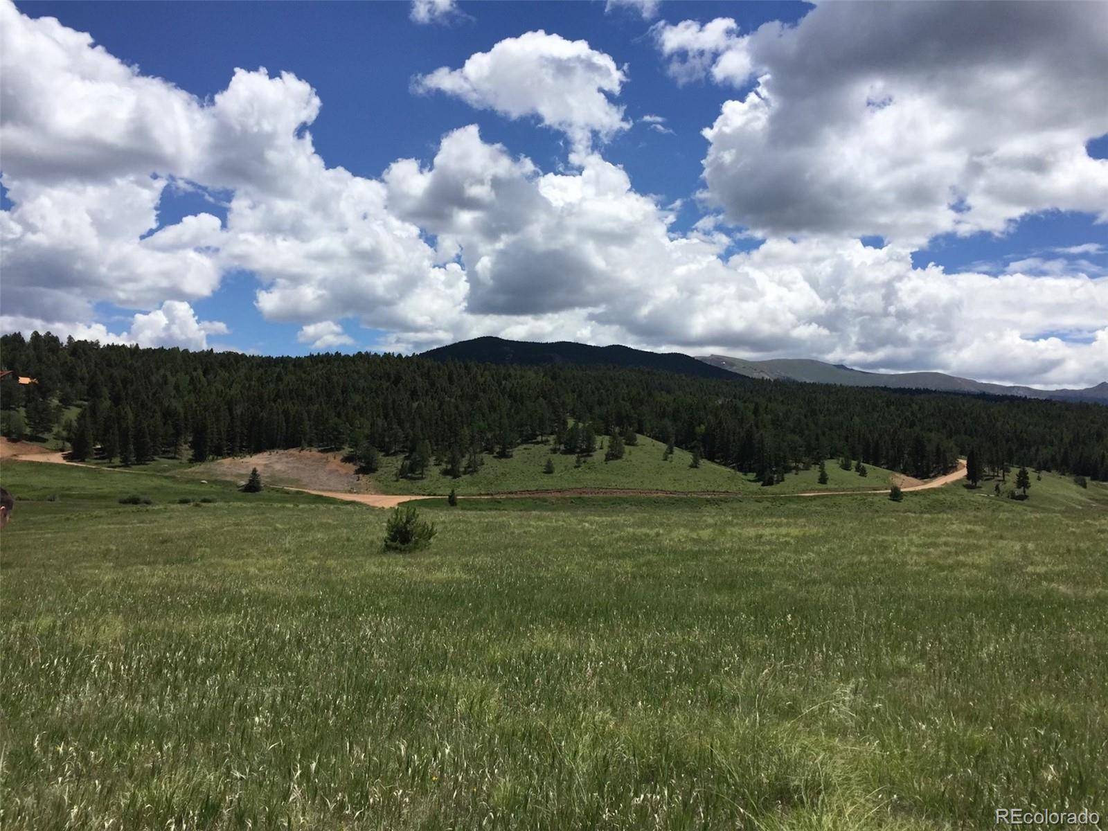 4600 Elk Valley RD, Divide, CO 80814