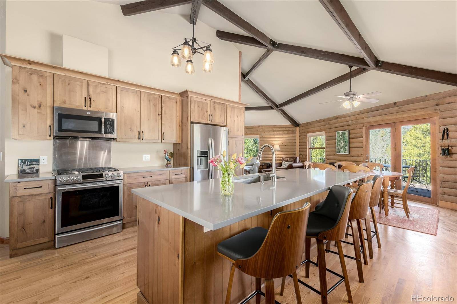 260 Pine DR, Idaho Springs, CO 80452