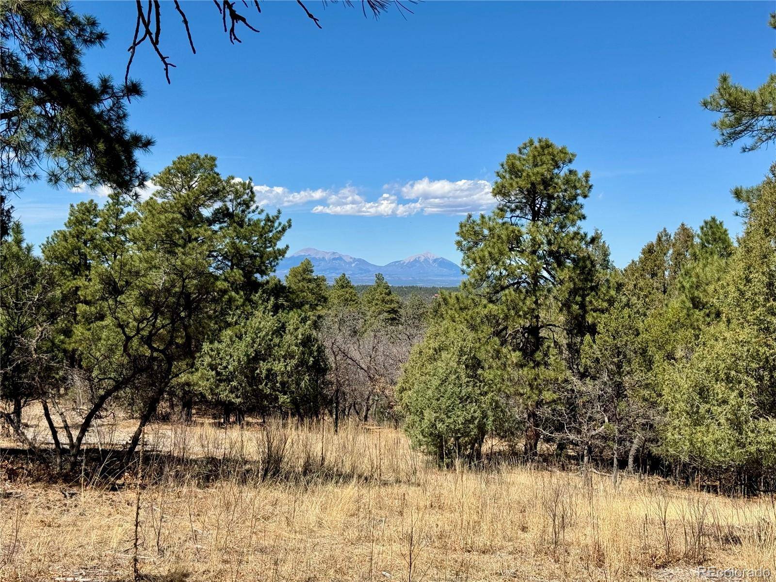 34999 Timber Park DR, Trinidad, CO 81082