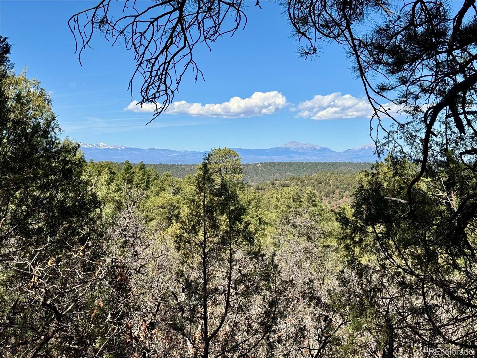 34999 Timber Park DR, Trinidad, CO 81082