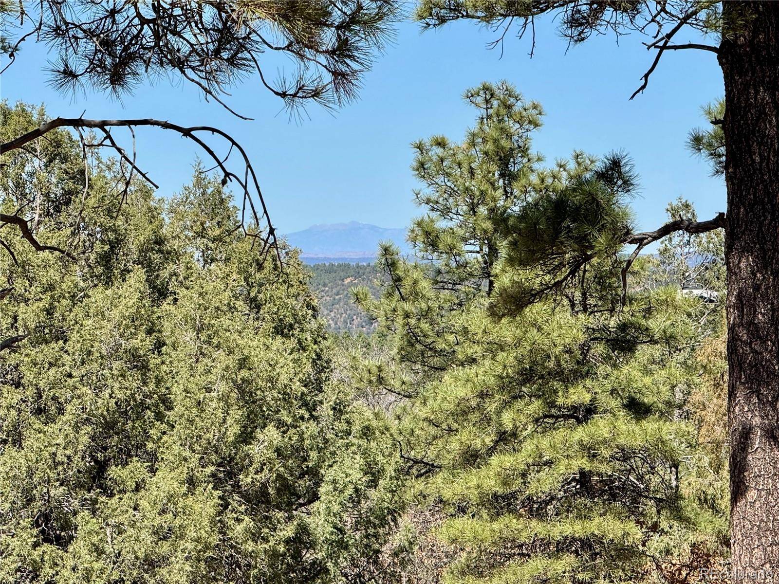 34999 Timber Park DR, Trinidad, CO 81082