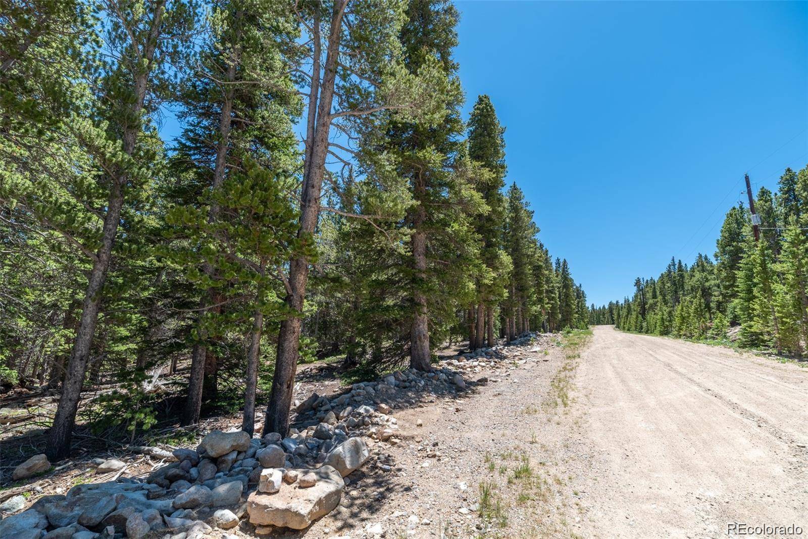 176 Gold Trail CIR, Fairplay, CO 80440