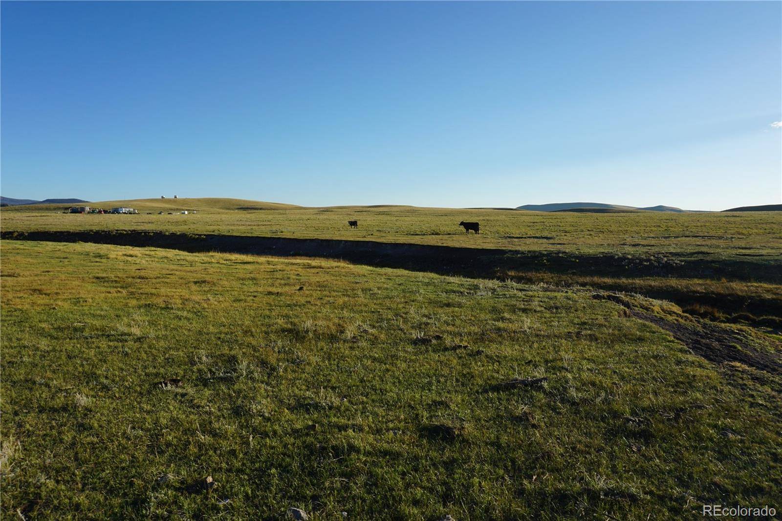 770 Pawnee TRL, Hartsel, CO 80449