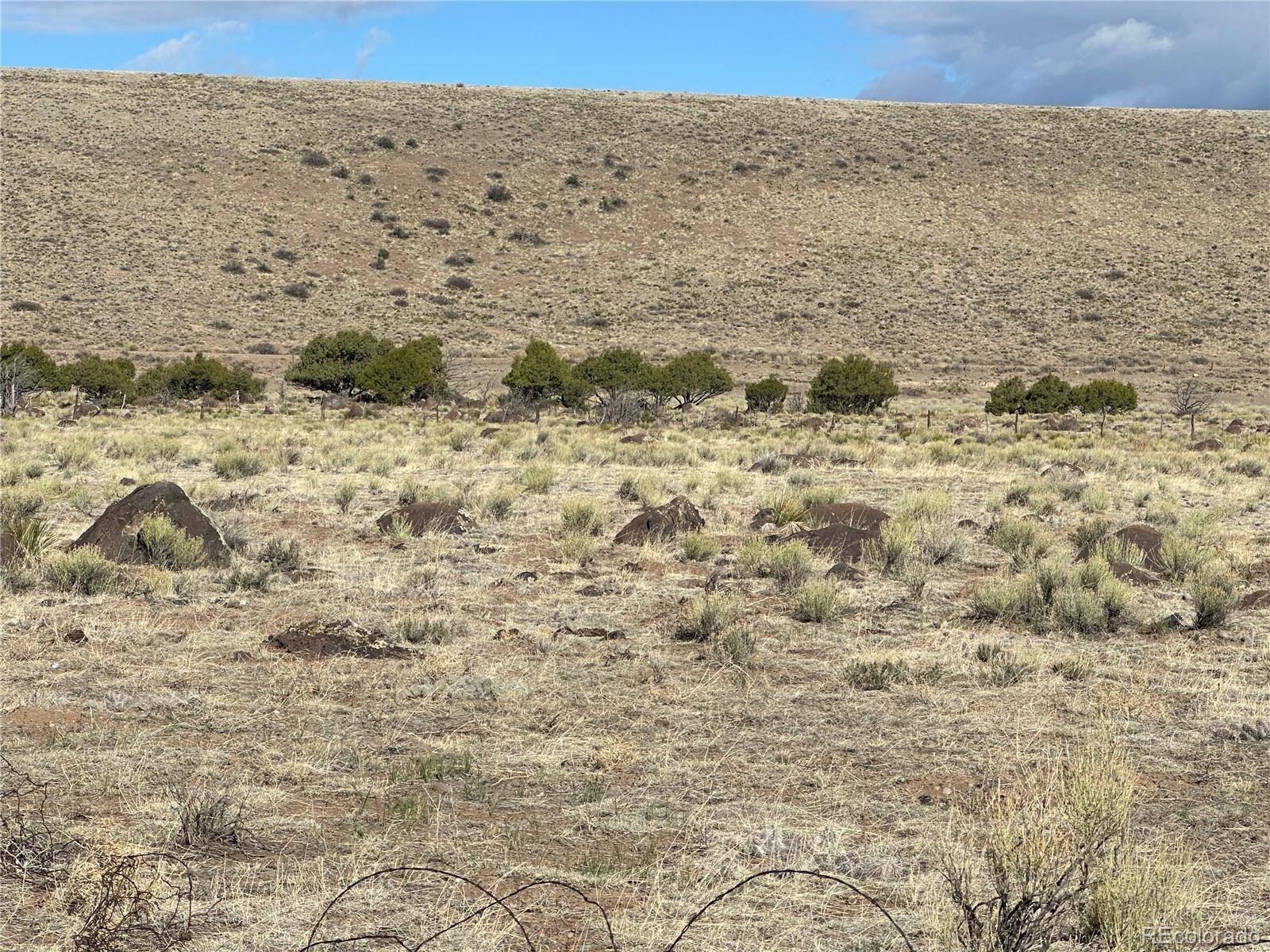 TBD Lot 2, La Jara, CO 81140