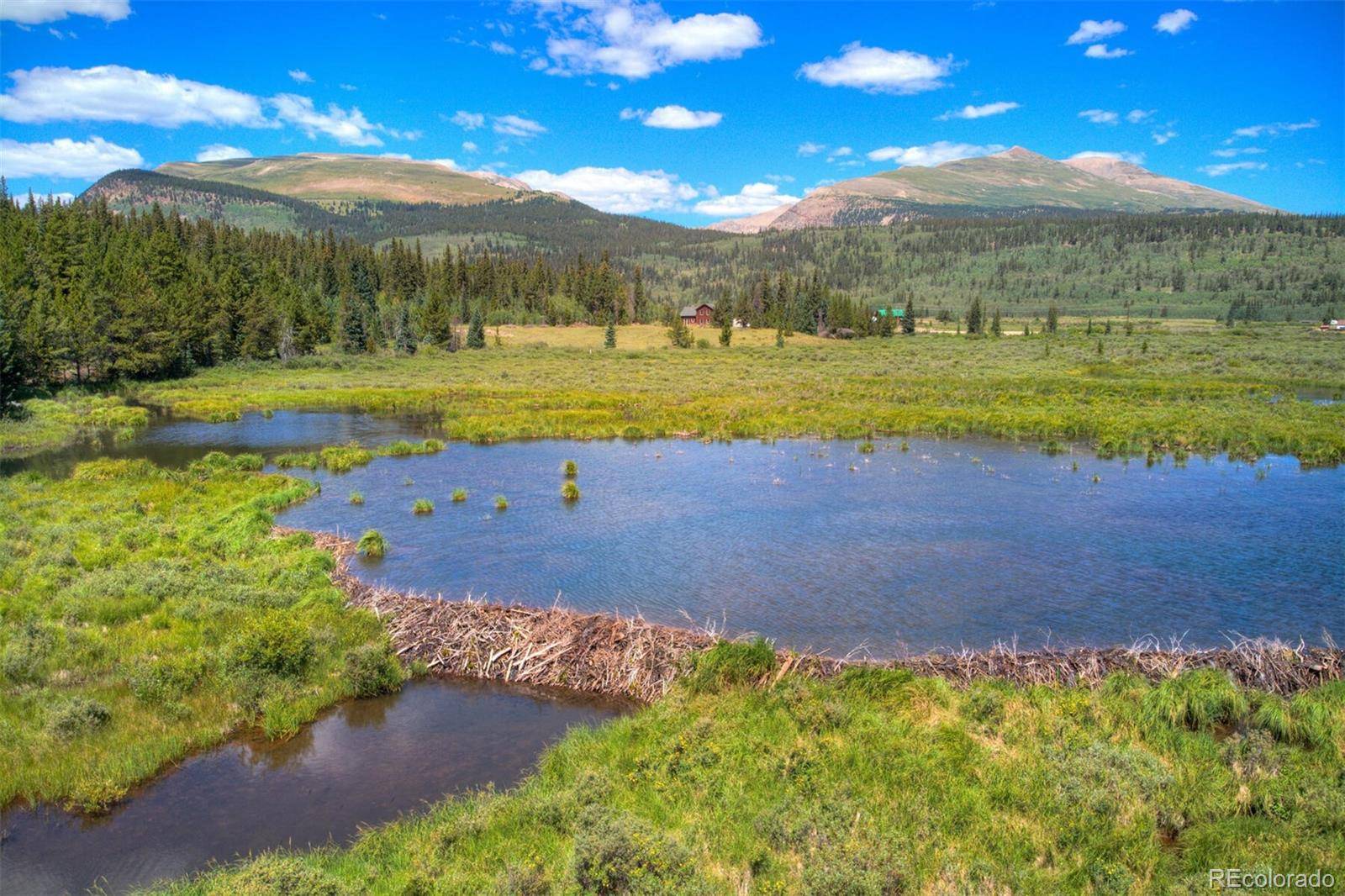 412 Kootchie Kootchie RD, Alma, CO 80420