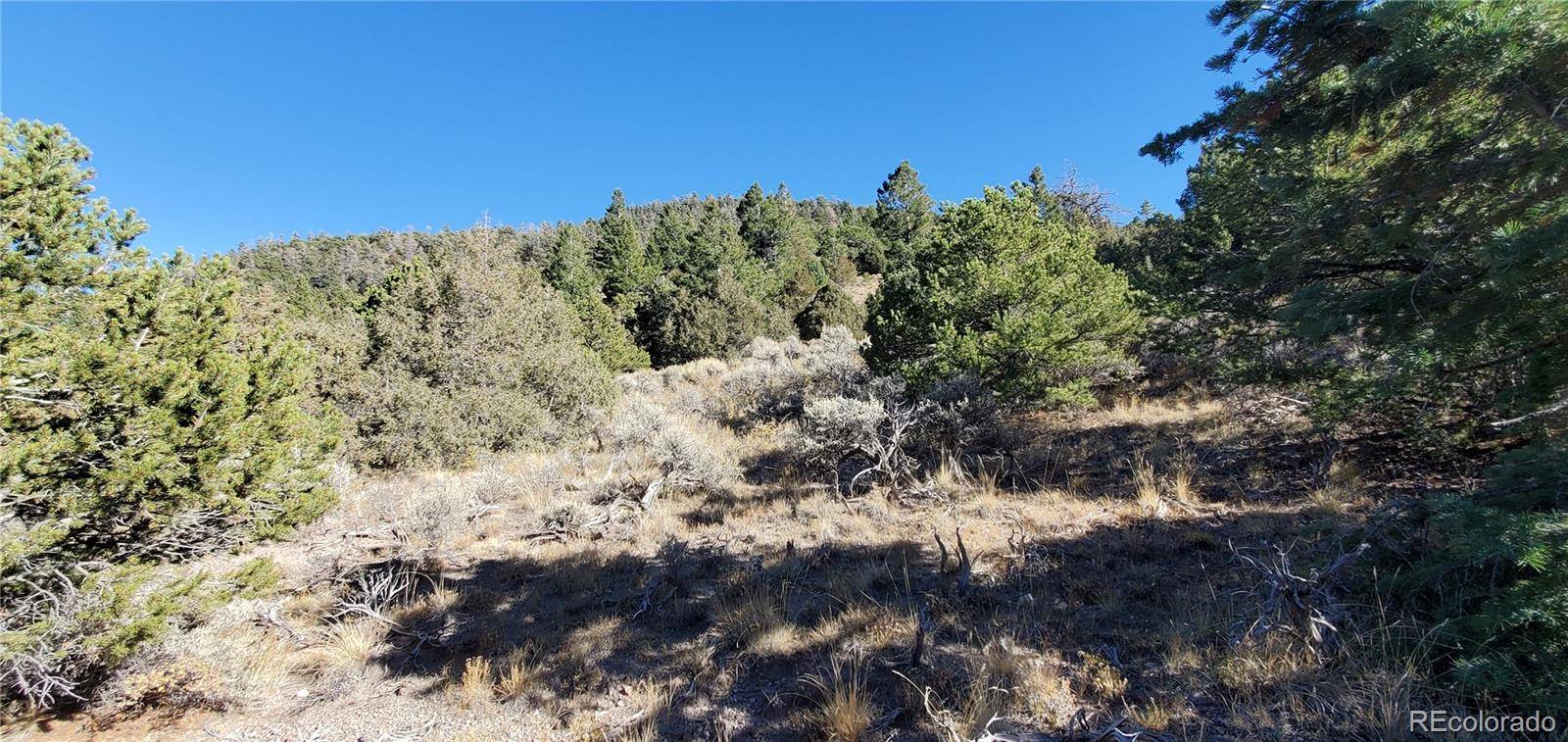 5486 Balleroy RD, San Luis, CO 81152