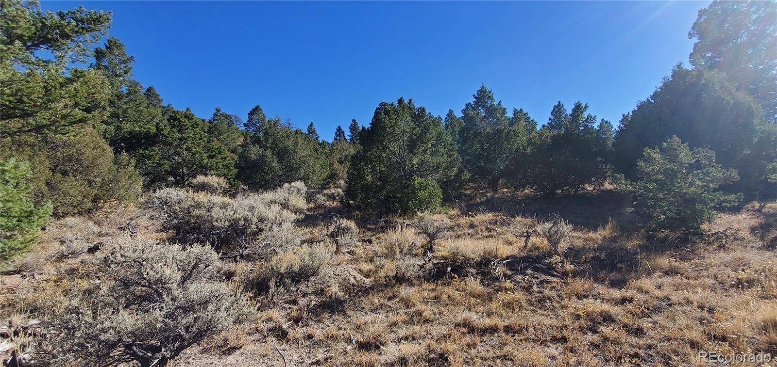 5486 Balleroy RD, San Luis, CO 81152