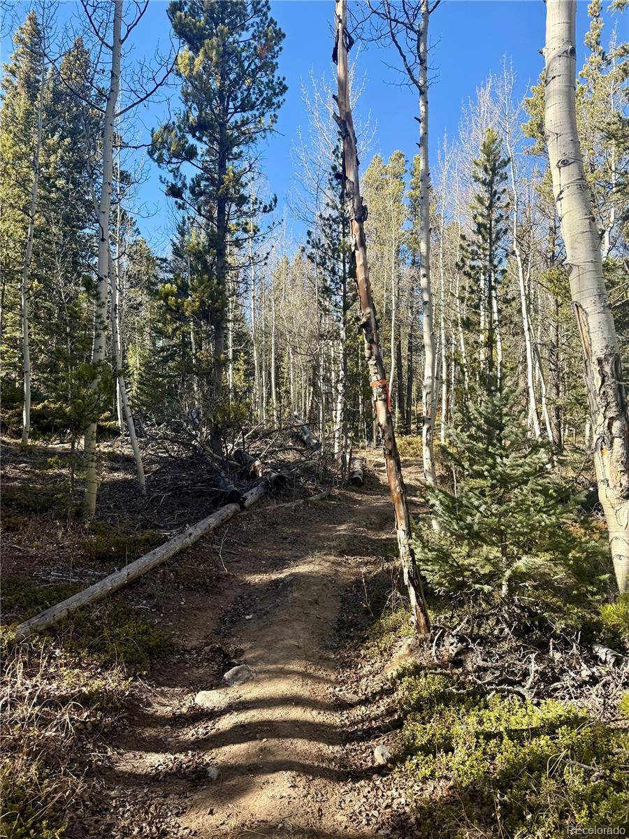 235 Willow LN, Fairplay, CO 80440
