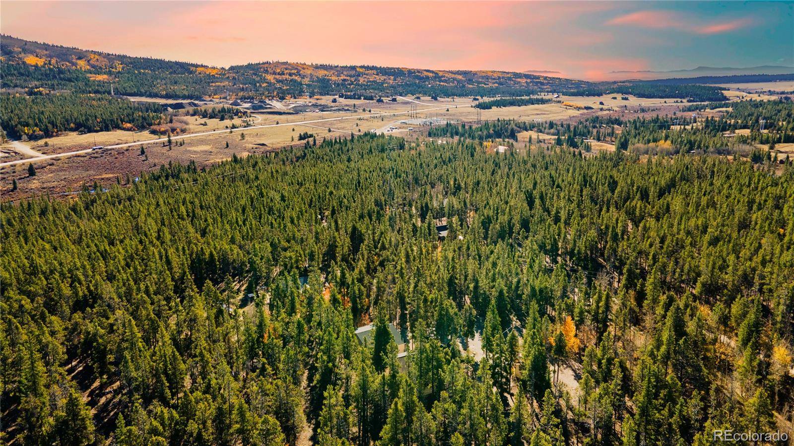 235 Willow LN, Fairplay, CO 80440