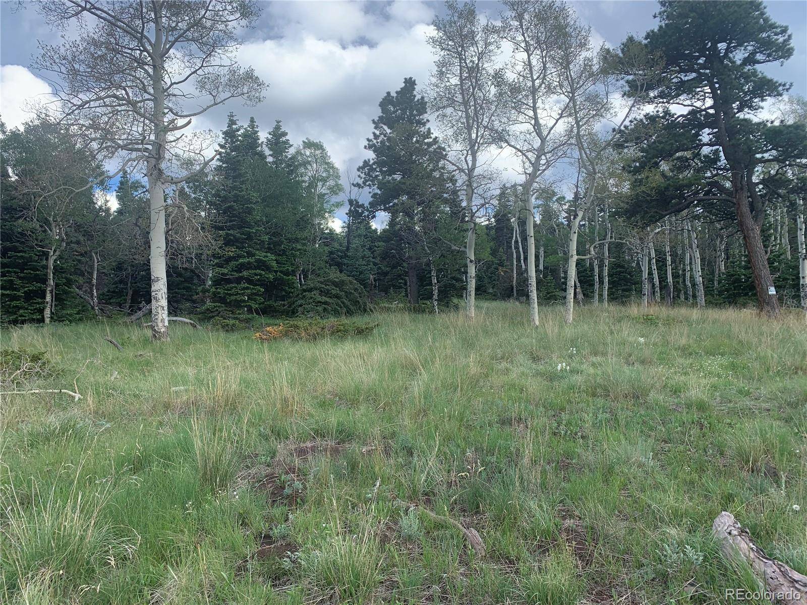 2941 FORBES PARK RD, Fort Garland, CO 81133