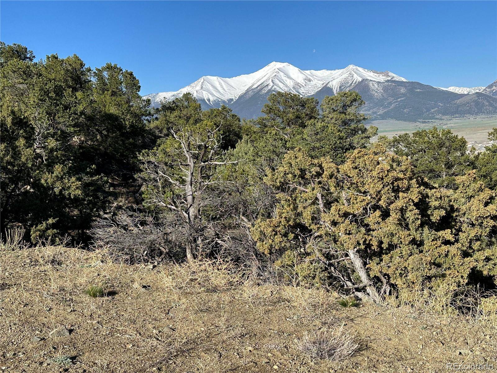28750 County Road 304, Buena Vista, CO 81211