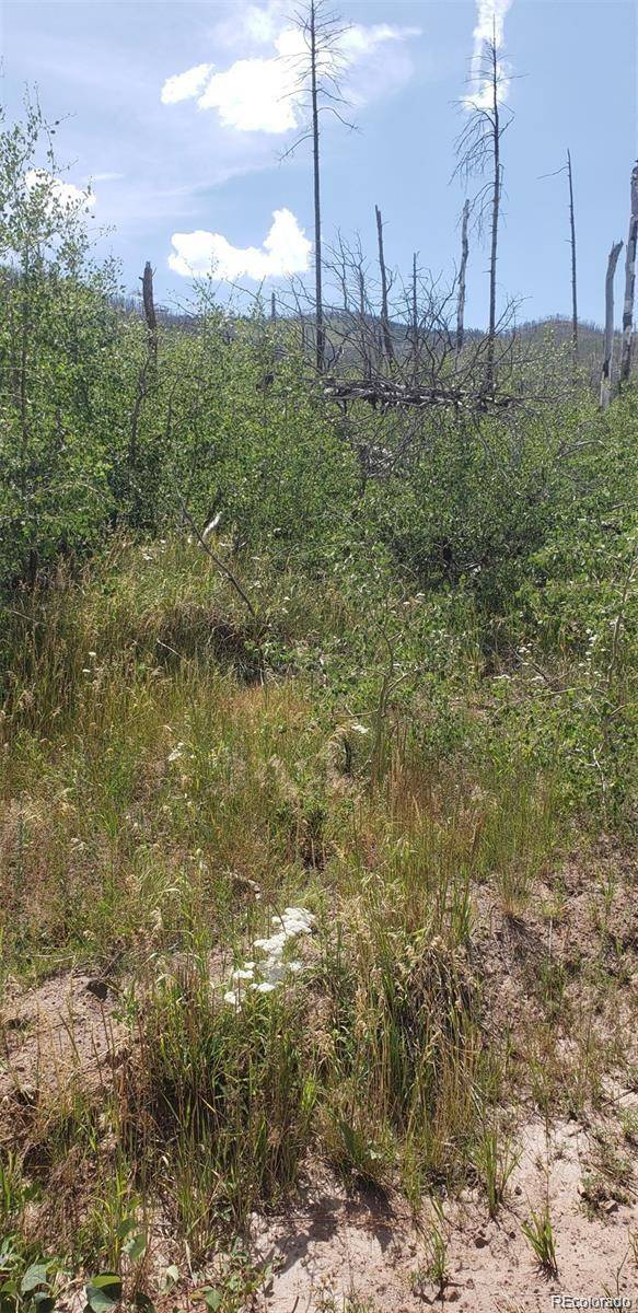 1929 Korlkoff LN, Fort Garland, CO 81133