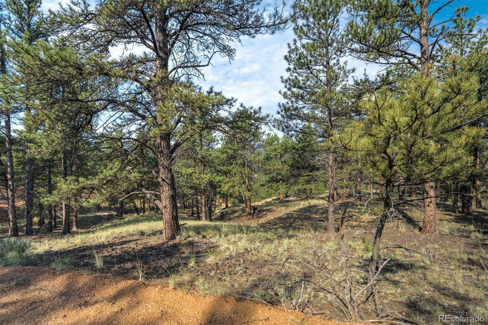 39 Reed DR, Florissant, CO 80816