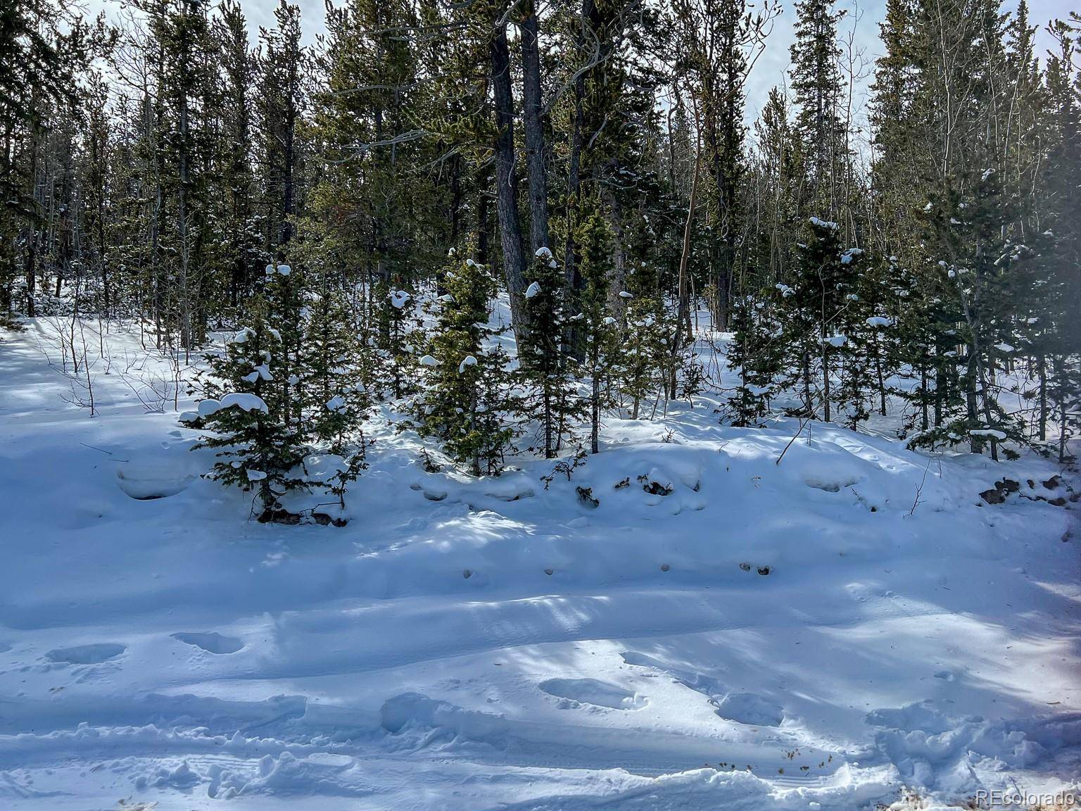 R0029767, Cripple Creek, CO 80813