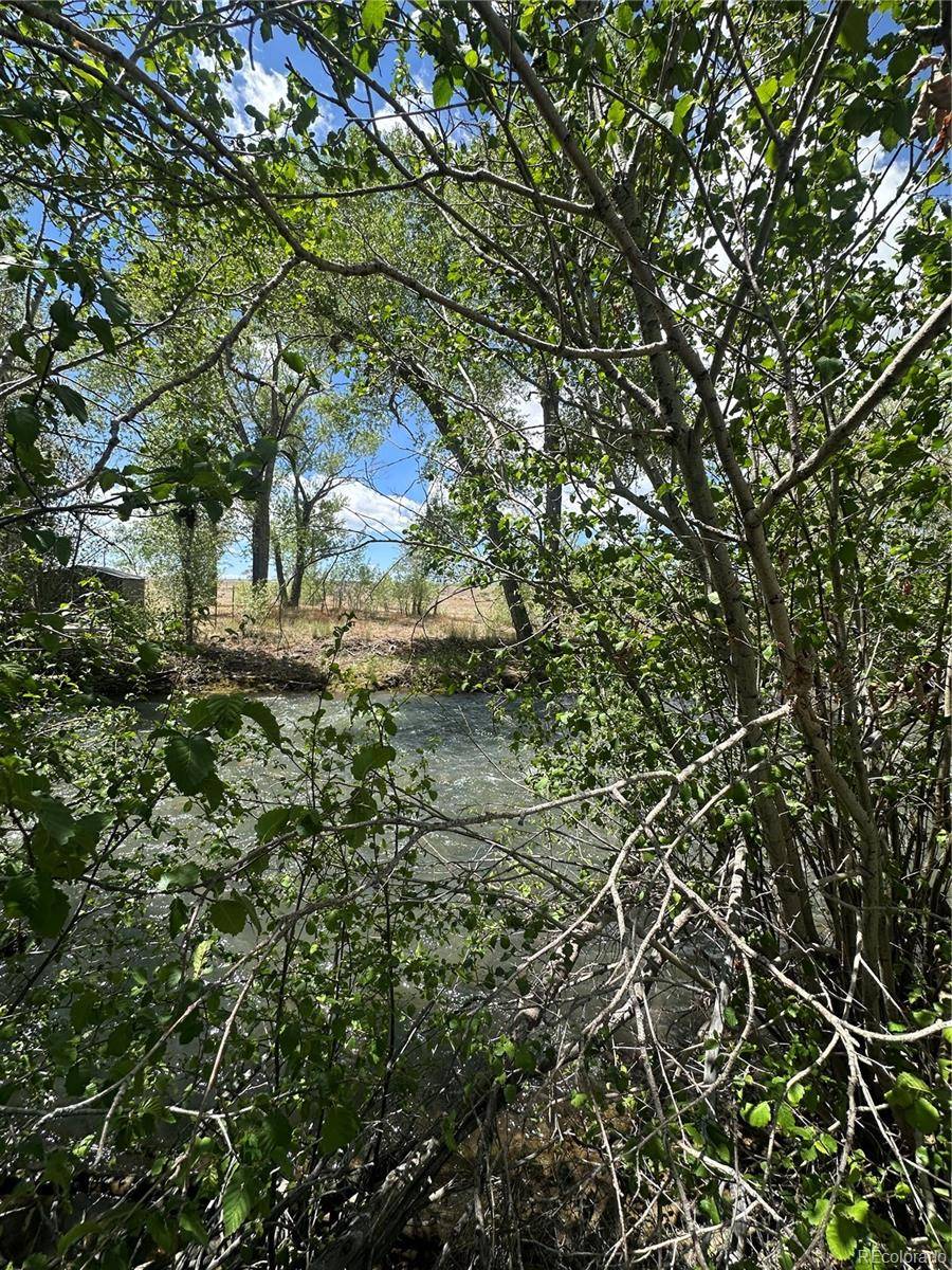 Lot 109 Alamosa River Estates, Capulin, CO 81124