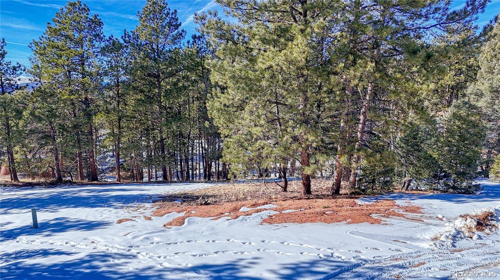 79 Huntsman CIR, Florissant, CO 80816