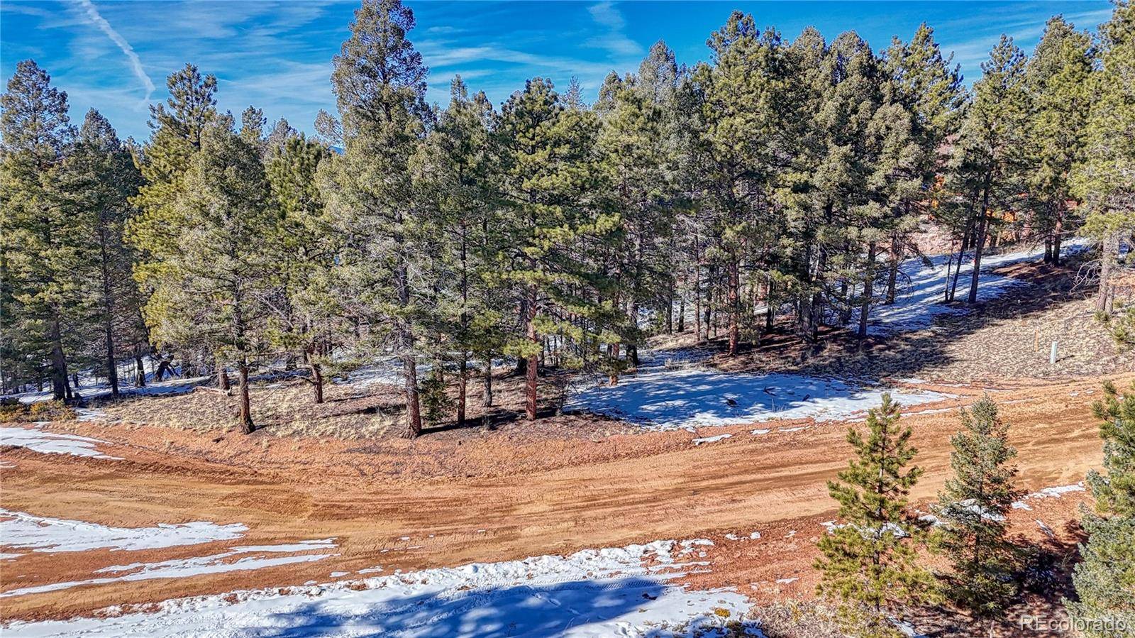 79 Huntsman CIR, Florissant, CO 80816