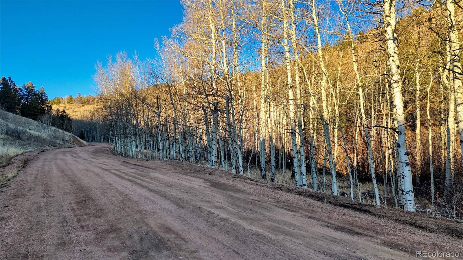 524 Buckhorn RD, Cripple Creek, CO 80813