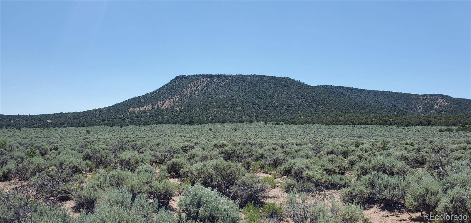 588 County Lane, Fort Garland, CO 81133