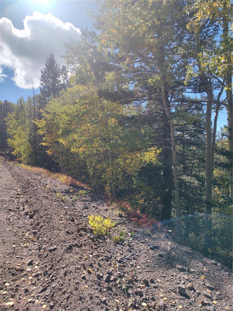 Lot 5374, Fort Garland, CO 81133