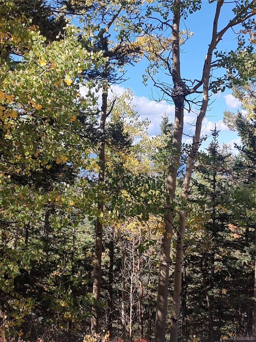 Lot 5374, Fort Garland, CO 81133